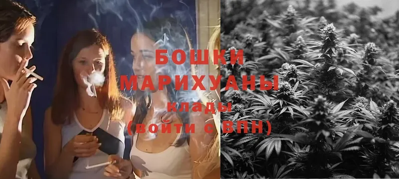 Конопля SATIVA & INDICA  Жуковский 